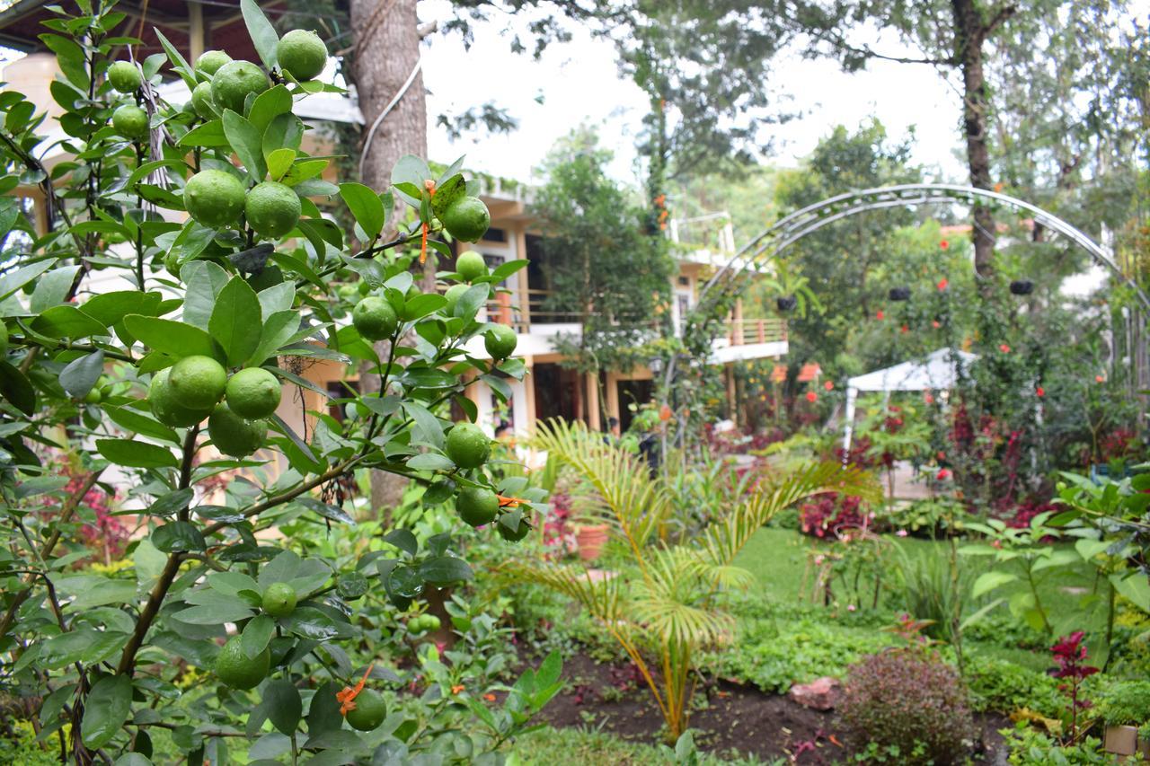 Pescador Hotel Ph Santiago Atitlan Bagian luar foto